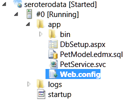 2012.1.16ironfoundry15